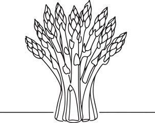 Elegant Line Art Illustration of Fresh Asparagus