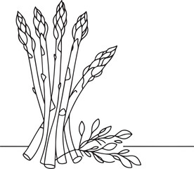 Elegant Line Art Illustration of Fresh Asparagus