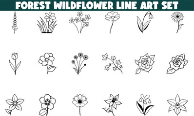 Forest Wildflower Line Art Set Botanical Illustrations, Floral Designs