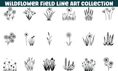 Wildflower Field Line Art Collection Floral, Botanical, Nature Designs