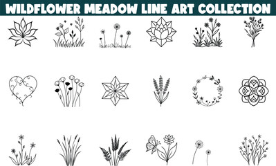 Wildflower Meadow Line Art Collection Botanical Illustrations, Floral Designs