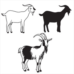 set vector various goat, goat in the grass silhouette