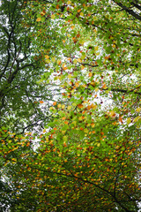 park view at eindhoven, netherland