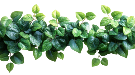 Let me know if you want a more creative or technical version!