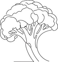 Line Drawing of Fresh Broccoli