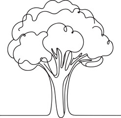 Line Drawing of Fresh Broccoli