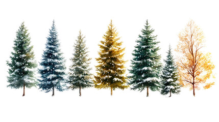 Fototapeta premium Isolated wheat ears evoke a winter season's evergreen branch
