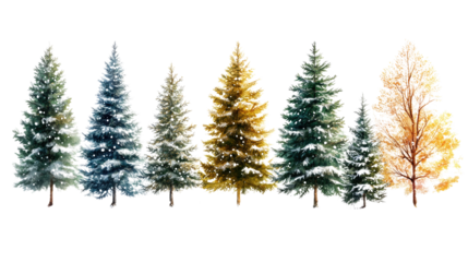 Isolated wheat ears evoke a winter season's evergreen branch