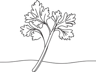 Minimalist Line Art of Celery Stalks