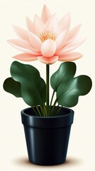 Beautiful pink lotus flower in a black pot with green leaves, perfect for home decoration, showcasing nature's elegance and tranquility