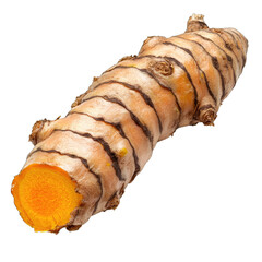 A single fresh turmeric root with vibrant orange flesh and a rough, brownish outer skin.