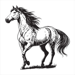 Horse Vector 
