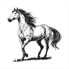 Horse Vector 