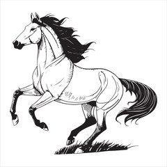 Horse Vector 