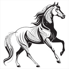 Horse Vector 