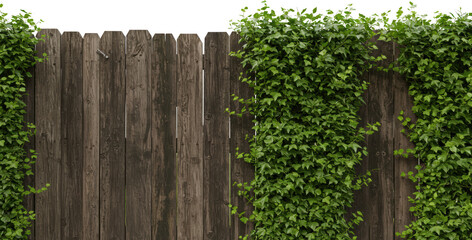 Naklejka premium Lush Green Ivy Growing on Rustic Wooden Fence Background Texture Image