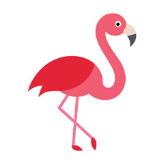 flamingo design silhouette vector illustration