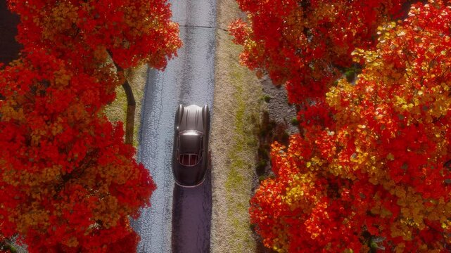 Aerial view of a car on a forested road, surrounded by lush green trees. Ideal for a nature drive or adventure, offering a peaceful experience in the serene natural landscape.