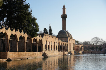 Balikligol, Pool of Abraham in Sanliurfa, Turkiye