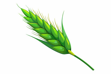 High-Detail Macro Illustration of a Green Wheat Ear &ndash; Isolated Botanical Specimen.