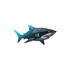 shark in the water