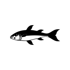 Obraz premium fish vector illustration