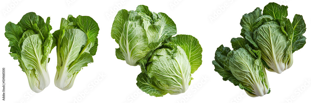 Poster isolated on a transparent background is a fresh green cabbage, generated by ai