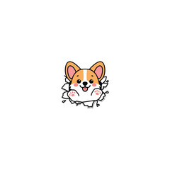 Cute corgi puppy break through the paper cartoon, vector illustration