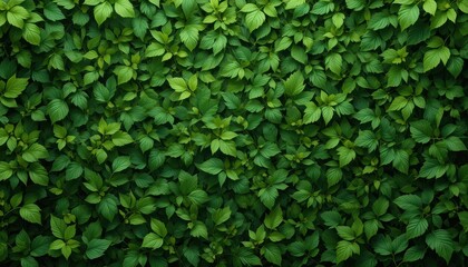 Lush green leaves nature background image close-up vibrant foliage