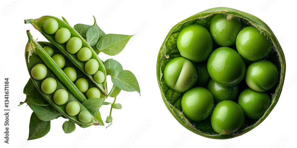 Poster the image features a fresh green pea pod isolated against a transparent background, made using gener