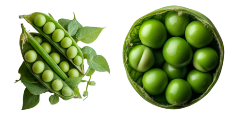 The image features a fresh green pea pod isolated against a transparent background, made using Generative Ai
