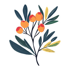 Minimal hand-drawn colorful Cedar Bay Cherry. Trendy abstract minimal style. Natural fresh. Vector illustration isolated on white background, vector illustration