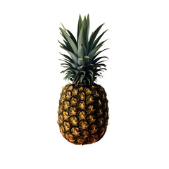 pineapple on white background