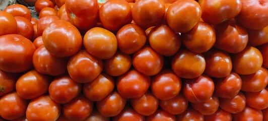 The tomatoes are red with a smooth, shiny surface, reflecting light. They appear uniform in size and shape, suggesting good quality