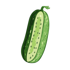 My hand-drawn colorful Cucumber. Trendy abstract minimal style. Natural fresh. Vector illustration isolated on white background, vector illustration