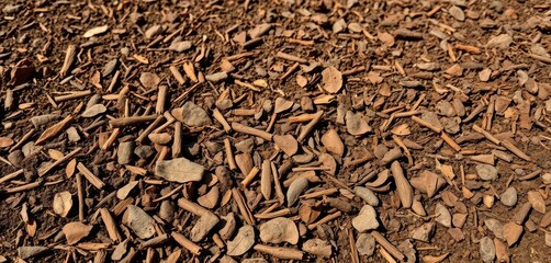 Dark, rich brown freshly laid mulch covering bare earth, ground cover, fall
