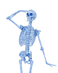 skeleton is looking up