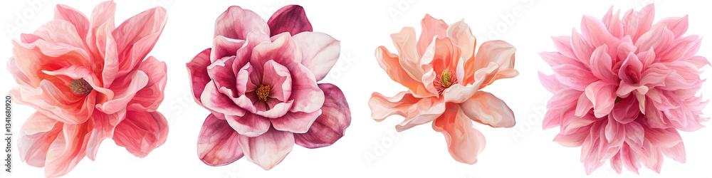 Aufkleber generative ai image of an isolated magnolia flower on a transparent background