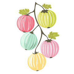 Hand-drawn colorful branch of Gooseberry. Trendy abstract minimal style. Natural fresh. Vector illustration isolated on white background, vector illustration