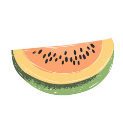 Hand-drawn colorful Honeydew. Trendy abstract minimal style. Natural fresh. Vector illustration isolated on white background, vector illustration