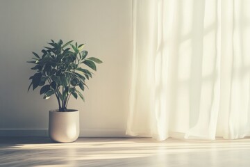 Luxurious Indoor Plant with Soft Curtain and Sunlight Casting Gentle Shadows in Modern Room