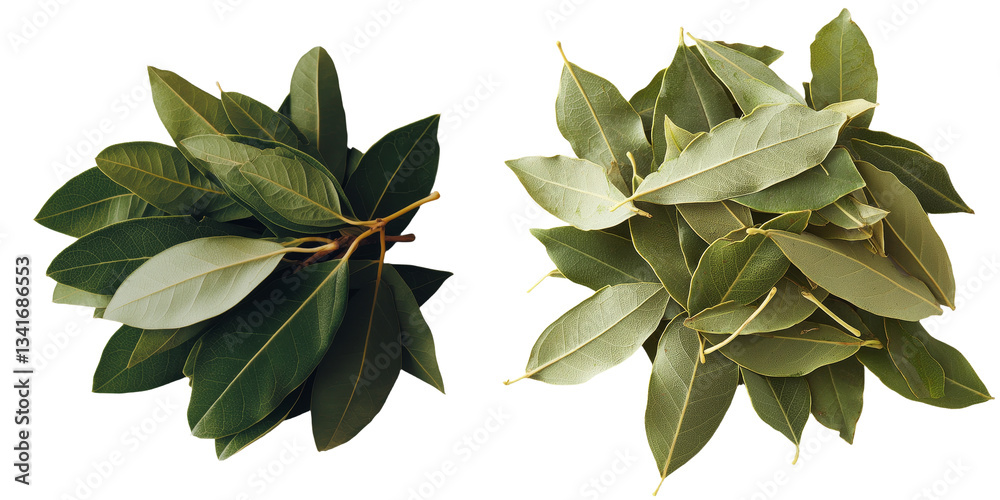 Poster on a transparent background, a pile of dried bay leaves is isolated, an image generated by generativ