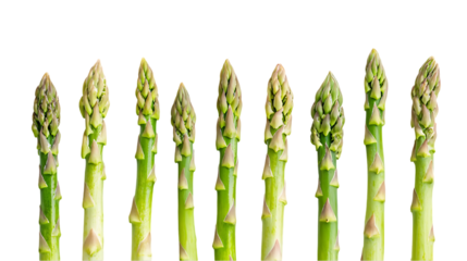 Several stalks of fresh green asparagus stand upright on display