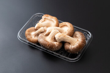 黒背景に生椎茸