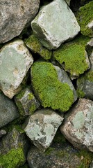 Smooth and textured stones covered in vibrant green moss contrasting with rough surfaces in a natural setting