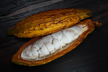 Cut open cocoa pod