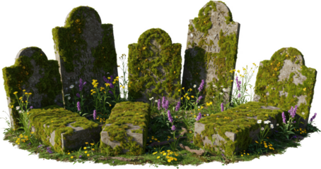Overgrown Tombstones in a Forgotten Cemetery with Wildflowers