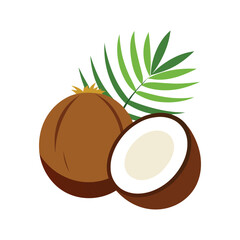 Fresh green coconut fruit vector illustration
