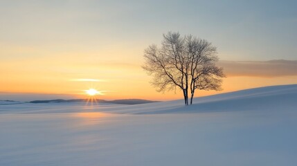 Serene Winter Sunset Landscape - A solitary tree stands in a snow covered field at sunset. Peaceful winter scene