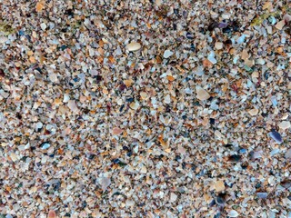 Close up of colorful seashell fragments and pebbles on a sandy beach. Natural textures and coastal aesthetics